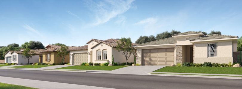 Asante Artisan: Signature by Lennar in Surprise - photo
