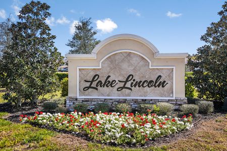 Lake Lincoln by Landsea Homes in Eustis - photo 57 57