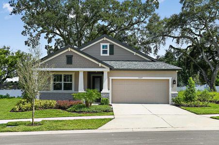 Tamarack at Two Rivers by William Ryan Homes in Wesley Chapel - photo 1 1