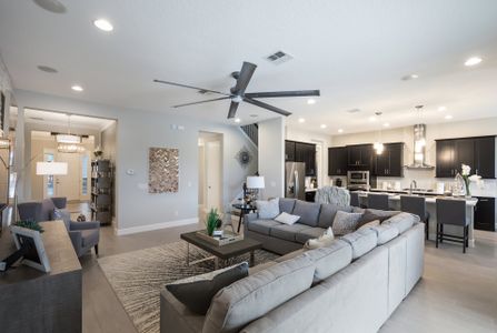 Palms at Windermere by Dream Finders Homes in Windermere - photo 12 12