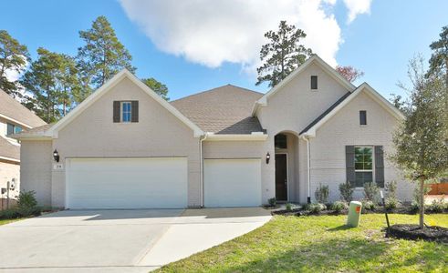 Grand Central Park - Classic by Gehan Homes in Conroe - photo 26 26