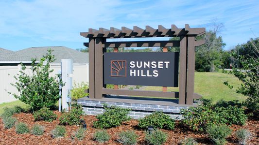 Sunset Hills by D.R. Horton in Summerfield - photo 5 5