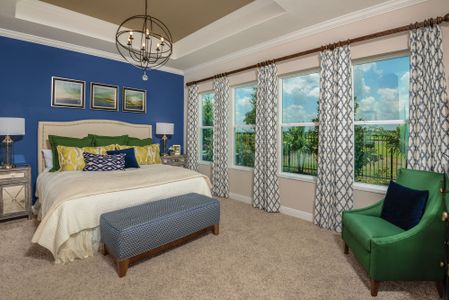 Waterset Cottage Series by David Weekley Homes in Apollo Beach - photo 40