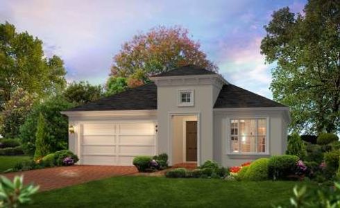 Nocatee by ICI Homes in Ponte Vedra Beach - photo 4 4