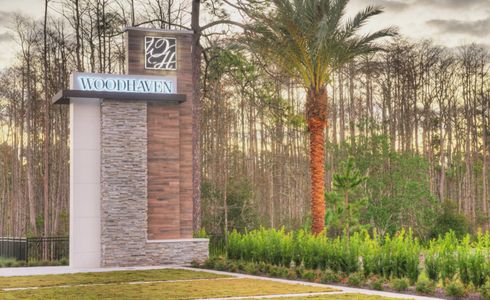 Woodhaven by ICI Homes in 6401 South Williamson, Port Orange, FL 32128 - photo