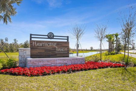 Hawthorne Ranch by M/I Homes in Lakeland - photo 1 1