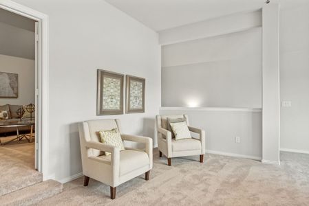 Emerald Vista by Bloomfield Homes in Wylie - photo 18