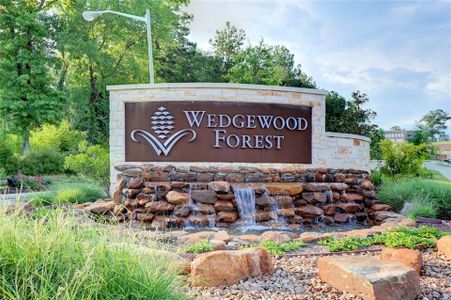 Wedgewood Forest by Colina Homes in Conroe - photo