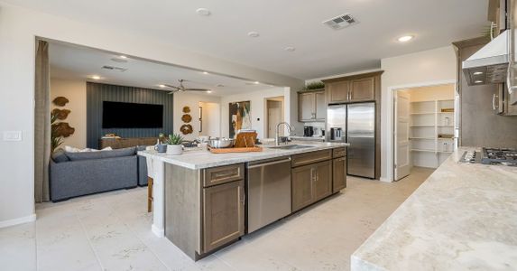 Eminence at Alamar by William Ryan Homes in Avondale - photo 58 58