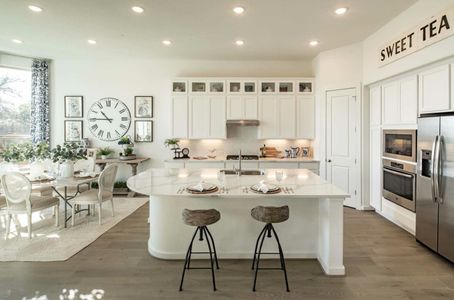 La Cima: 70ft. lots by Highland Homes in San Marcos - photo 36 36