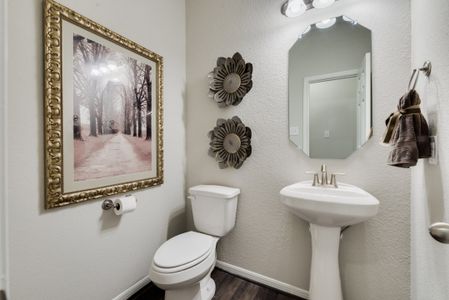 Balmoral East by Colina Homes in Humble - photo 30