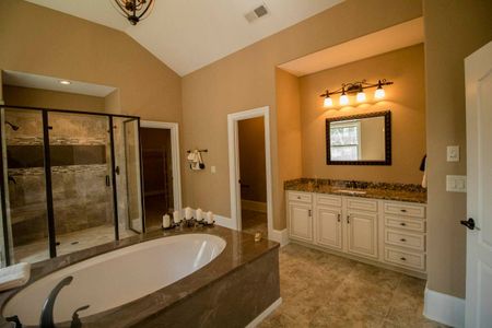 Providence Harbour by Sunrise Builders, Inc in Mcdonough - photo 8 8