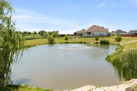 Wildcat Ridge by Bloomfield Homes in Godley - photo 37 37