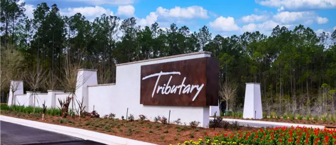 Tributary: Lakeview at Tributary 50's by Lennar in Yulee - photo 0 0