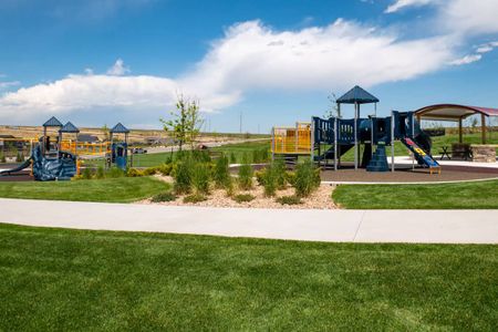 Candelas Townhomes by Tri Pointe Homes in Arvada - photo 11
