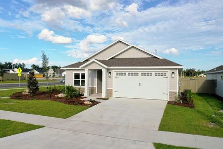Grand Oaks by Weseman Homes & Renovations in Gainesville - photo 8