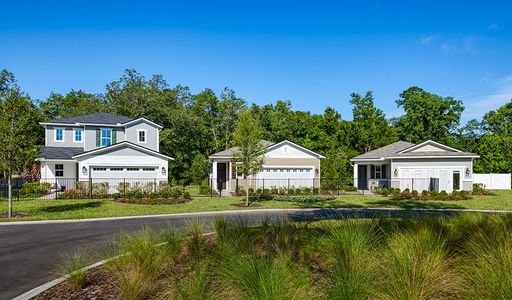 Seasons at Marietta Cove by Richmond American Homes in Jacksonville - photo 1 1