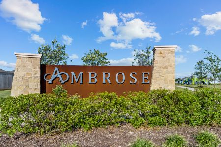 Ambrose by M/I Homes in La Marque - photo 49 49