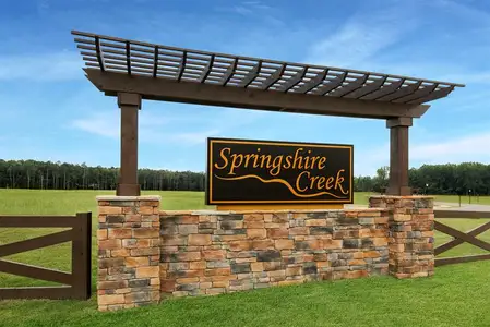 Springshire Creek by Ryan Homes in Indian Trail - photo