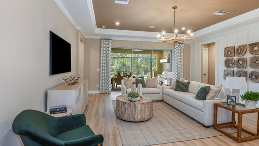 River Landing by Taylor Morrison in Wesley Chapel - photo 111 111