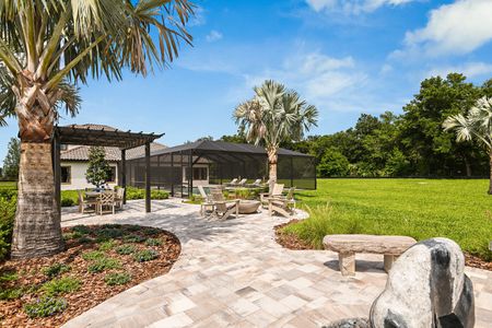 Creek Ridge Preserve by Homes by WestBay in Lithia - photo 10