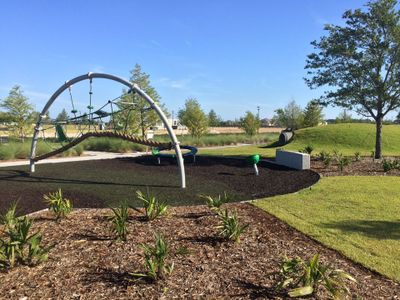 Laureate Park at Lake Nona - Village Series by David Weekley Homes in Orlando - photo 11