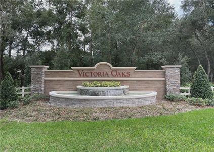 Victoria Oaks by D.R. Horton in Deland - photo