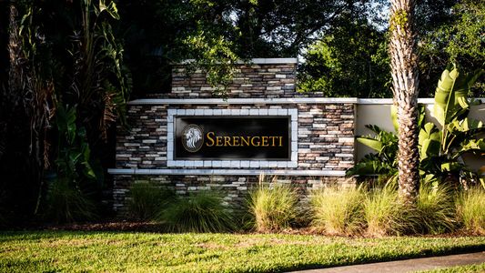 Serengeti by DRB Homes in Spring Hill - photo 0 0