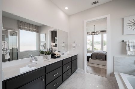 Jubilee 50′ by Tri Pointe Homes in Hockley - photo 14 14