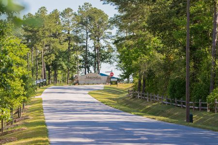 Magnolia Reserve by Bethel Homes in Magnolia - photo 14 14