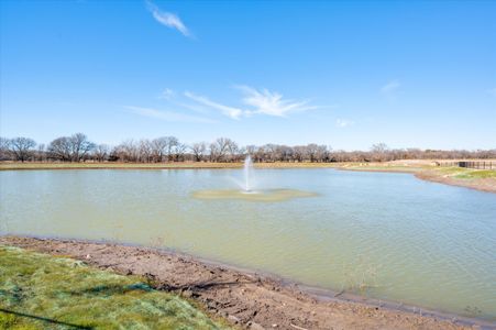 Parks of Aledo by Our Country Homes in Aledo - photo 40