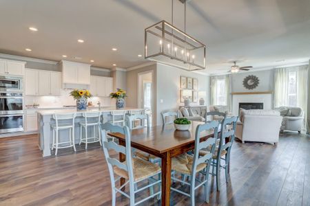 The Springs of Chateau by Walker Anderson Homes in Hoschton - photo 13 13
