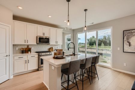 Country Club Reserve by Dream Finders Homes in Fort Collins - photo 14 14