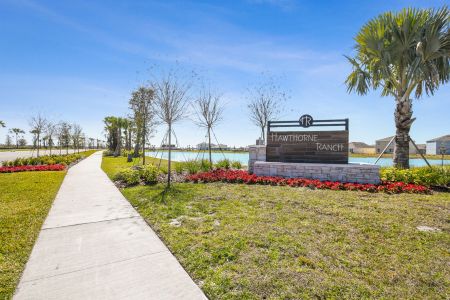 Hawthorne Ranch by M/I Homes in Lakeland - photo 0 0