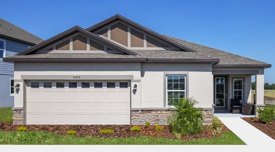 Royal Highlands by Maronda Homes in Brooksville - photo 42 42