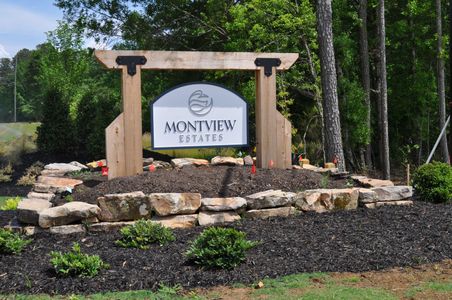 Montview Estates by Bercher Homes in Powder Springs - photo 13 13