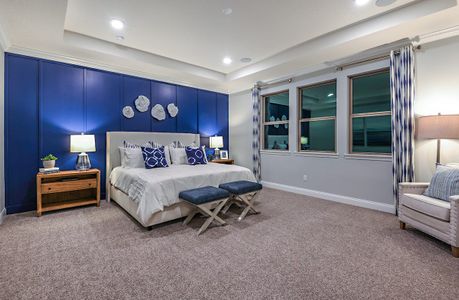 Vintner Reserve by Beazer Homes in Clermont - photo 4 4