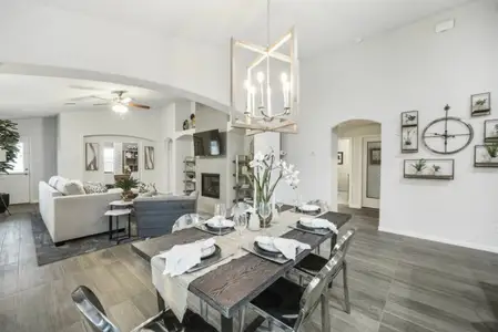 Rodeo Palms by Saratoga Homes in Manvel - photo 16
