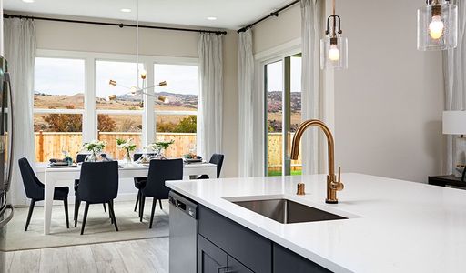 Oak Ridge at Crystal Valley by Richmond American Homes in Castle Rock - photo 62 62