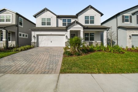 Anderson Snow Estates by M/I Homes in Spring Hill - photo 21 21