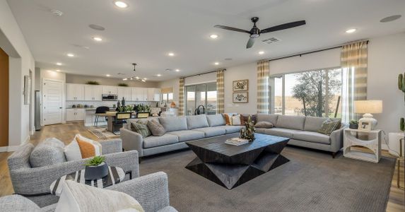 Eminence at Alamar by William Ryan Homes in Avondale - photo 26 26