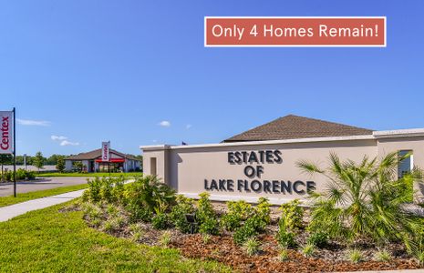 Estates of Lake Florence by Centex in Winter Haven - photo 25 25