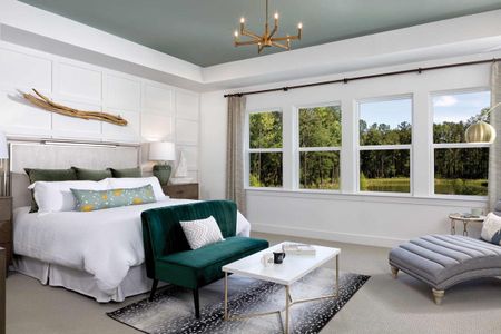 Point Hope - Village Collection by David Weekley Homes in Charleston - photo 39