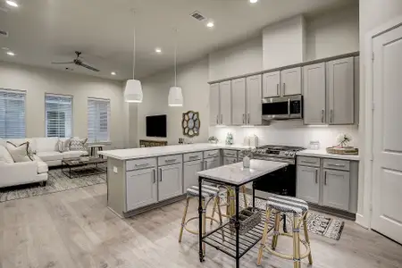Palisades Park by City Choice Homes in Houston - photo 6 6