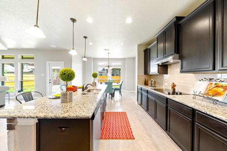 Horizon Pointe by New Leaf Homes in Converse - photo 26 26