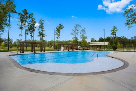 Lakewood Pines Trails by KB Home in Houston - photo 3