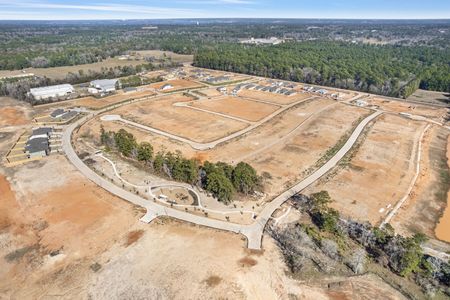 Lone Star Landing by M/I Homes in Montgomery - photo 20 20