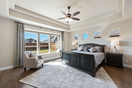 Triple Diamond Ranch by Bloomfield Homes in Mansfield - photo 35