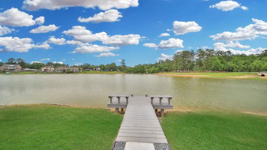 Hills of Westlake by D.R. Horton in Conroe - photo 77 77