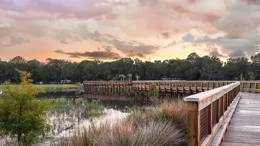 River's Edge by Taylor Morrison in Wesley Chapel - photo 92 92